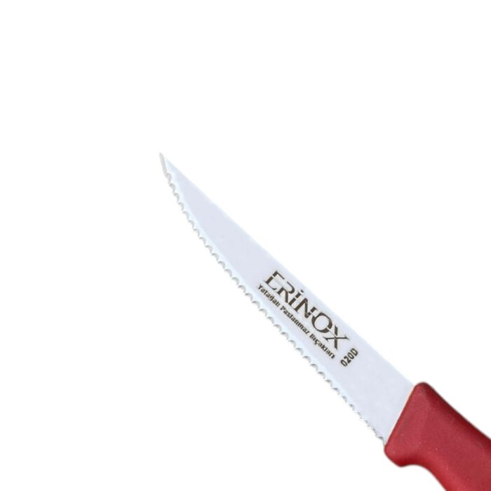 DİŞLİ SEBZE BIÇAĞI - 21 Cm - Görsel 3