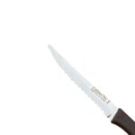 1 NO STEAK BIÇAĞI – 22 Cm - Görsel 3